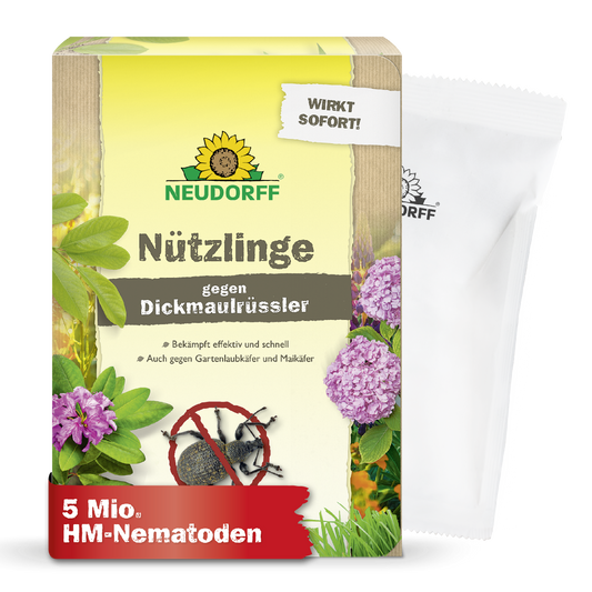 Eine Schachtel Neudorff Shop Nützlinge gegen Dickmaulrüssler zur Bekämpfung des Reblausbefalls mit Pflanzen, Insekten und Produktinformation. Ein weißes Tütchen auf der rechten Seite zeigt an, dass 5 Millionen HM-Nematoden enthalten sind.