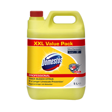 Domestos Pro Formula Citrus Fresh, hygieeninen puhdistusaine sitrushedelmien raikkaalla