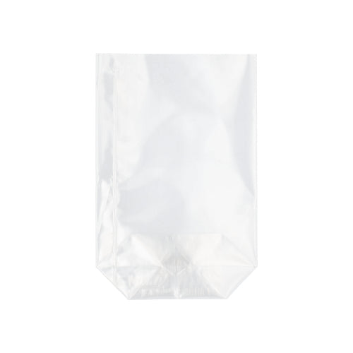 Läpinäkyvästä PP:stä valmistettu Starpak 300 -pohjapussi seisoo litteällä pohjalla pystyssä valkoista taustaa vasten.