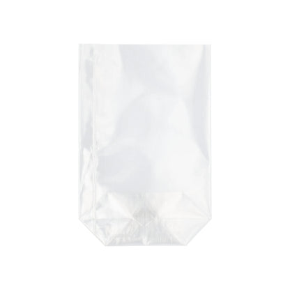 Läpinäkyvästä PP:stä valmistettu Starpak 300 -pohjapussi seisoo litteällä pohjalla pystyssä valkoista taustaa vasten.