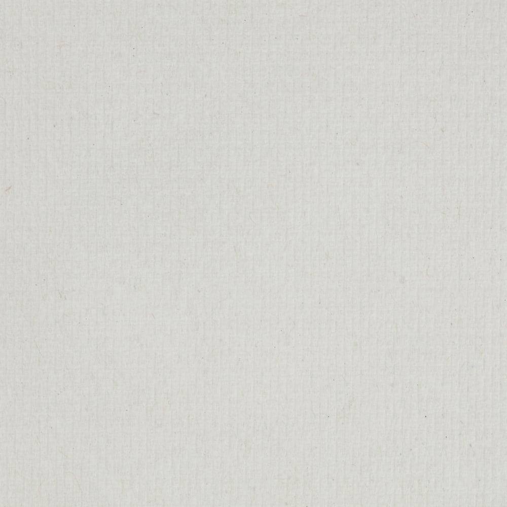 Lähikuva tyhjästä valkoisesta, teksturoidusta paperipinnasta, jossa on heikkoja linjoja ja pieniä täpliä - täydellinen Scott® ESSENTIAL™ käsipyyherullalle / Valkoinen (6 rullaa x 1 arkki, kartonki) Kimberly-Clark GmbH:lta. Kuva on tasaisesti valaistu ja vapaa merkinnöistä tai esineistä.