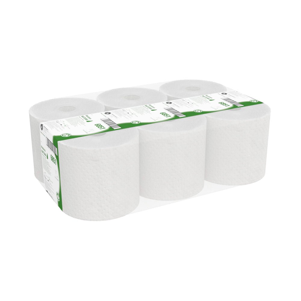 Laatikko, jossa on 6 Kimberly-Clark GmbH:n Hostess™ NATURA -rullapyyhettä, jokainen pakattu luonnonpaperiin vihreä-valkoisella etiketillä - täydellinen kaikille, jotka etsivät kestäviä pyyhkeitä korkealaatuisista materiaaleista.