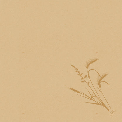 Beigefarbenes strukturiertes Papier mit einer einfachen braunen botanischen Gras-Illustration in der unteren rechten Ecke. Perfekt für die Präsentation der Duni GmbH Bio-Dunisoft-Serv. 40x40cm. Der Rest der Seite ist leer.