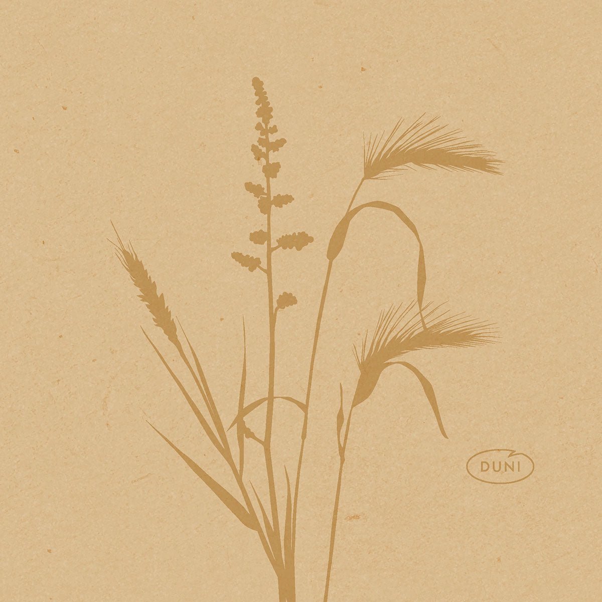 Minimalistinen kuva villiyrteistä ja kasveista ruskean sävyissä koristaa näitä 20x20cm kokoisia Bio-Dunisoft ympäristöystävällisiä lautasliinoja Duni GmbH:lta, jossa sana "DUNI" on soikiossa oikeassa alakulmassa vaaleanruskealla rakenteellisella taustalla.