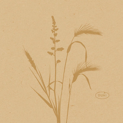 Minimalistinen kuva villiyrteistä ja kasveista ruskean sävyissä koristaa näitä 20x20cm kokoisia Bio-Dunisoft ympäristöystävällisiä lautasliinoja Duni GmbH:lta, jossa sana "DUNI" on soikiossa oikeassa alakulmassa vaaleanruskealla rakenteellisella taustalla.