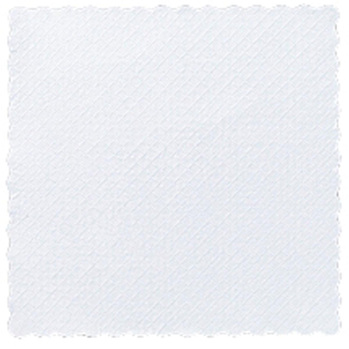 Duni GmbH:n paperinen jälkiruokalautasliina 17x17 cm, valkoinen, tulee 4000 kappaleen pakkauksessa ja vakuuttaa elegantilla muotoilullaan - ihanteellinen tyylikkäästi katettuun ravintolaan.