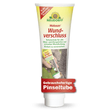 Yksi putkilo Neudorff Shop Malusan haavansulkijaa, joka on ihanteellinen haavojen sulkemiseen puunleikkauksen jälkeen, kuvattuna polttomerkin, kuvauksen ja henkilön kuvan kanssa, joka levittää sitä puunrunkoon.