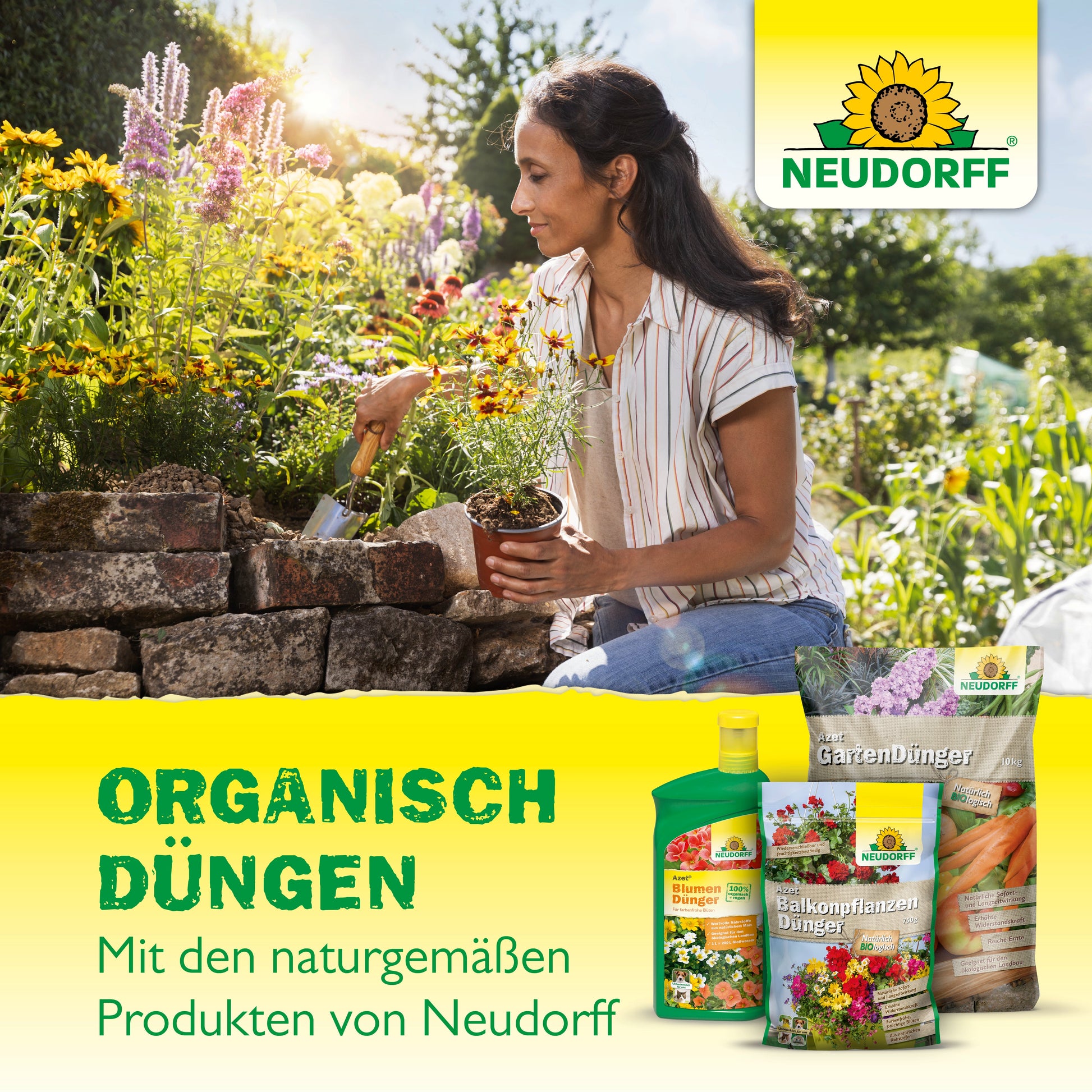 Eine Frau pflanzt mit einer Kelle Blumen zwischen Ilex und Buchsbaum. Im Vordergrund ist der Azet Buxus- & IlexDünger von Neudorff Shop zu sehen. Der deutsche Text hebt die organischen Vorteile der Düngung mit Neudorff-Produkten hervor.