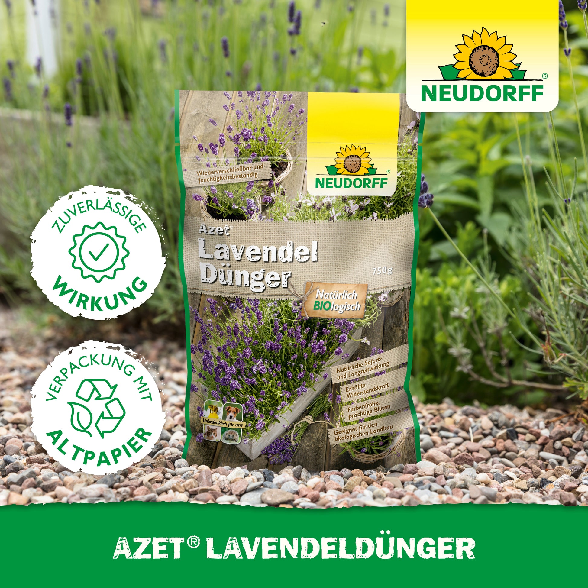 Eine Tüte Neudorff Shop Azet LavendelDünger liegt auf einem Gartenweg aus Kies neben Lavendel mit blau-violetten Blüten. Auf der Verpackung steht "umweltfreundlich" in deutscher Sprache.