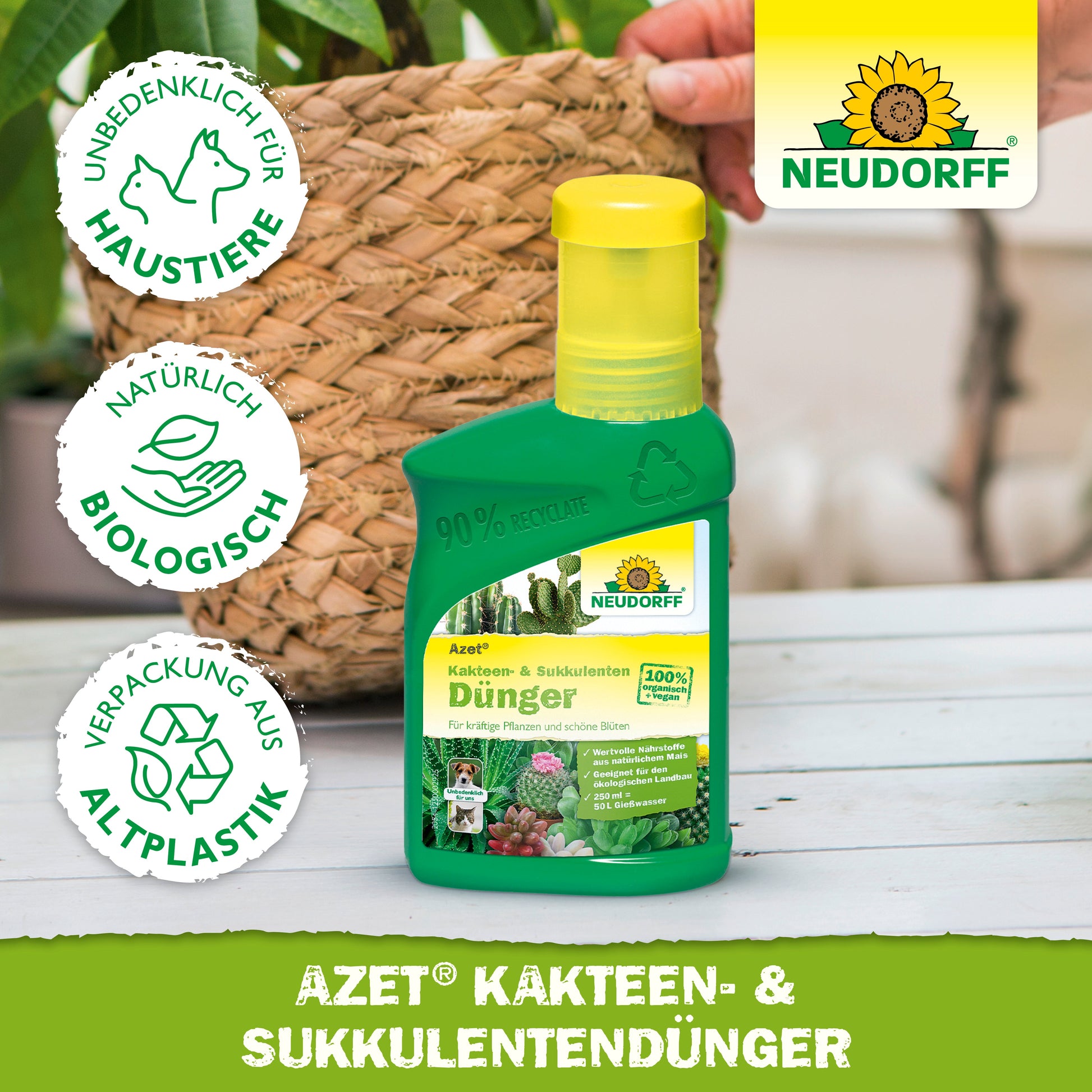 Eine grüne Plastikflasche von Neudorff Shop Azet Kakteen- & SukkulentenDünger flüssig steht auf einem Holztisch vor einem getopften Kaktus. Drei Symbole weisen darauf hin, dass es haustierfreundlich, biologisch und aus recyceltem Kunststoff hergestellt ist.