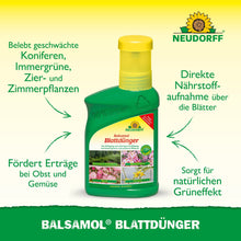 Vihreä Neudorff Shop Balsamol lehtilannoitepullo seisoo kelta-vihreällä taustalla, ja teksti korostaa sen etuja ikivihreille, havupuille ja nopealle ravinteiden imeytymiselle.