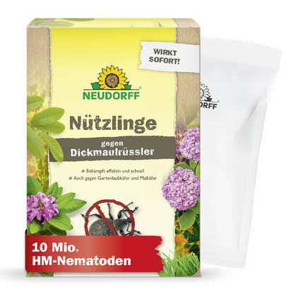 Eine Neudorff Shop Nützlinge gegen Dickmaulrüssler Box mit Branding, Blumen, Käfer und "10 Mio. HM-Nematoden" bietet eine effektive Garten- und Engerlinge-Schädlingsbekämpfung. HM-Nematoden" bietet effektive Garten- und Engerlinge-Schädlingsbekämpfung. Hinter der Schachtel ist ein weißer Beutel teilweise sichtbar.