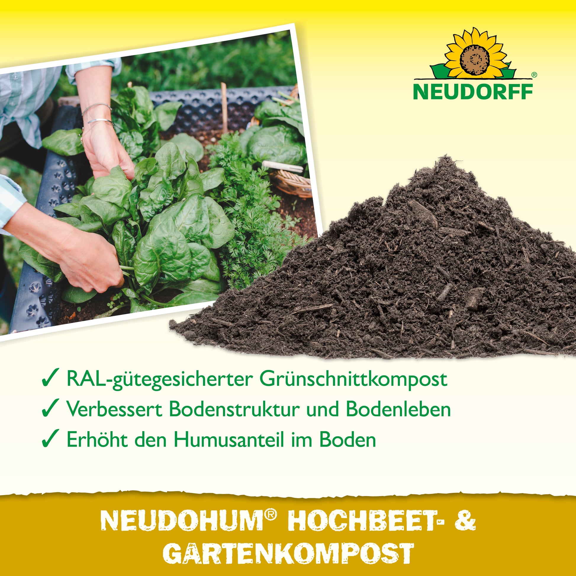 Eine behandschuhte Hand hält ein Tablett mit Blattgemüse neben dunklem Kompost. Der Text hebt den NeudoHum Hochbeet- & GartenKompost aus dem Neudorff Shop hervor, der die verbesserte Bodenstruktur und den Humus hervorhebt - ideal für Hochbeete. Das Neudorff-Logo erscheint oben.