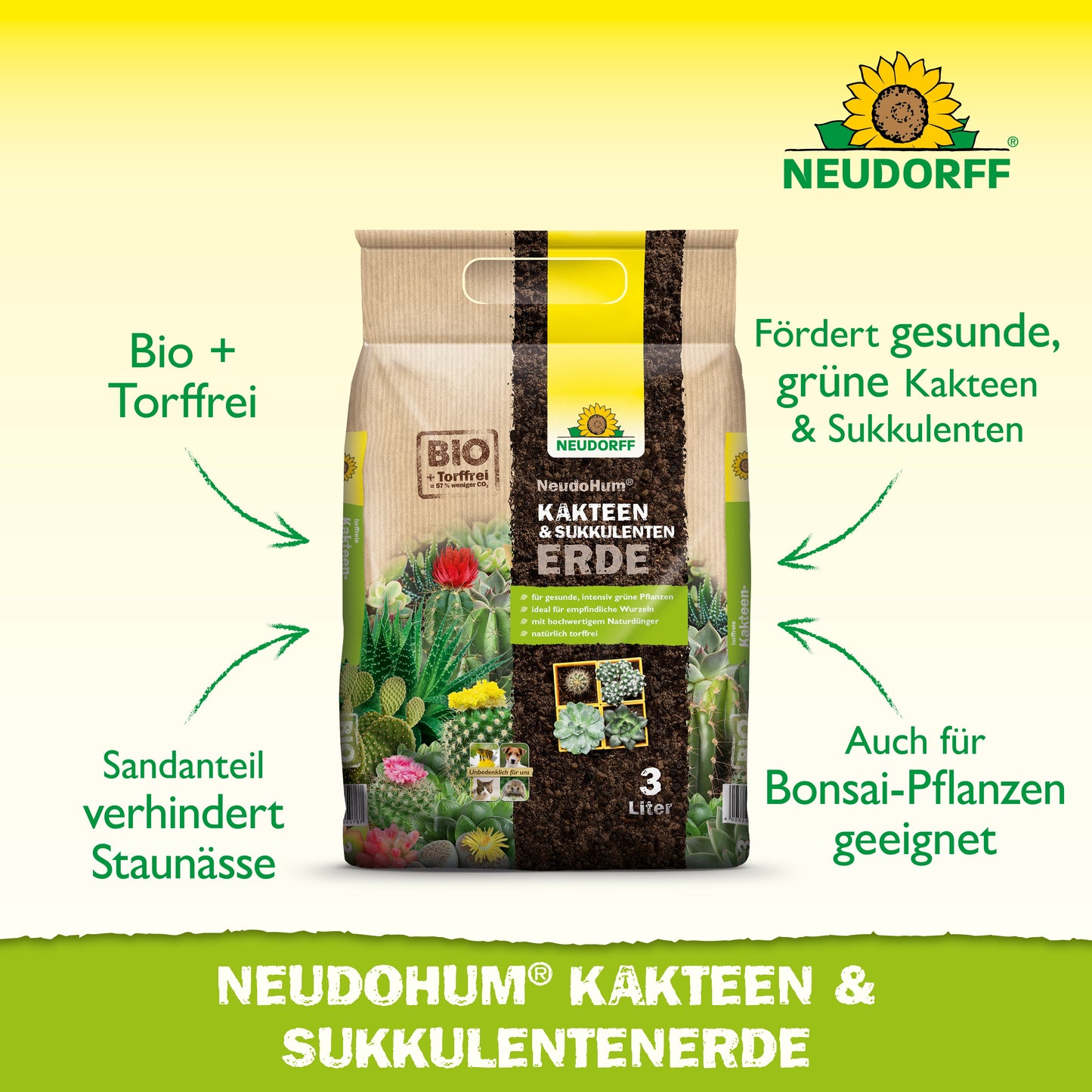 Ein beiger 3-Liter Neudorff Shop NeudoHum Kakteen & SukkulentenErde Beutel steht aufrecht. Die torffrei Erde verhindert Staunässe und ist ideal für ein gesundes Wachstum von Kakteen, Sukkulenten und Bonsai-Pflanzen.