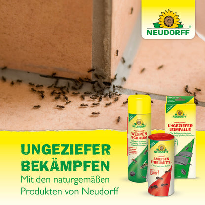 Eine Gruppe von Ameisen krabbelt über einen gefliesten Boden. Davor sind drei Produkte des Neudorff Shop Doppelfliegenklatsche ausgestellt. Der deutsche Text wirbt für natürliche Schädlingsbekämpfungslösungen, die ohne Flecken sind.