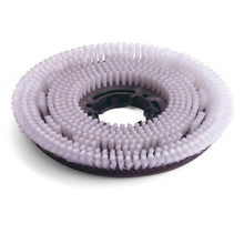 Numatic Octo Nylon -hankausharja 300mm malleihin TTV678/TVL850 | Pakkaus (1 kpl)