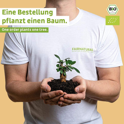 Vegaaniset Omega 3 -kapselit, jotka on valmistettu levistä