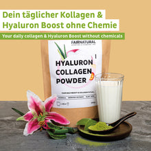 Kollageeni hyaluronijauhe