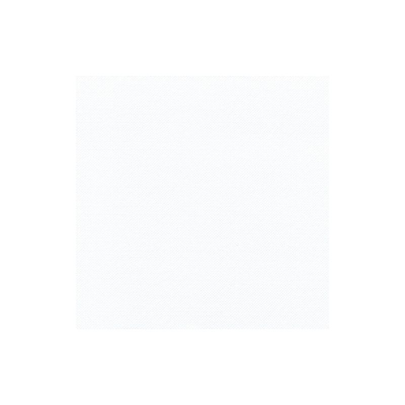 Yksinkertainen valkoinen neliö, jossa on hienovaraisesti strukturoidut pinnat, täyttää kehyksen ja ilmentää PAPSTAR GmbH:n ROYAL Collection -lautasliinojen eleganssia ja tekee niistä erinomaisen valinnan pöytäkoristeluun.