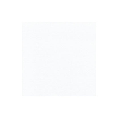 Yksinkertainen valkoinen neliö, jossa on hienovaraisesti strukturoidut pinnat, täyttää kehyksen ja ilmentää PAPSTAR GmbH:n ROYAL Collection -lautasliinojen eleganssia ja tekee niistä erinomaisen valinnan pöytäkoristeluun.